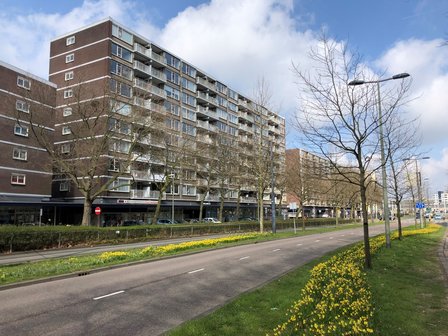 &#039;s-Gravelandseweg 878 Schiedam