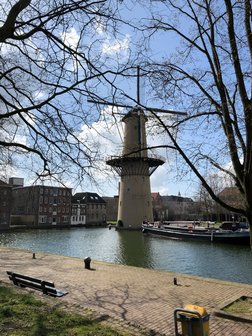 's-Gravelandseweg 878 Schiedam