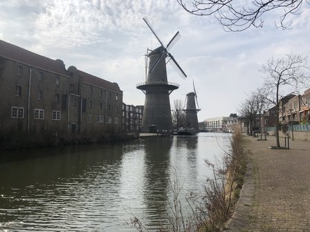 's-Gravelandseweg 878 Schiedam