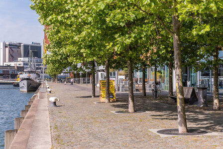Wilhelminakade 453 Rotterdam