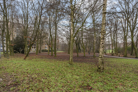 Burgemeester Stulemeijerlaan 6 Schiedam