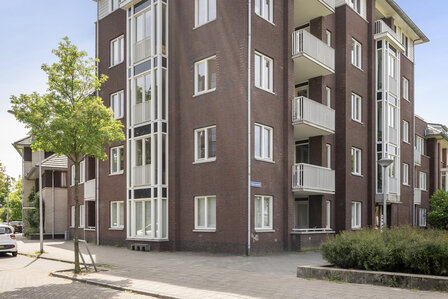 Molenweide Delft