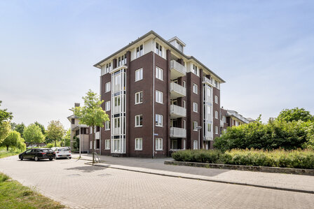 Molenweide Delft