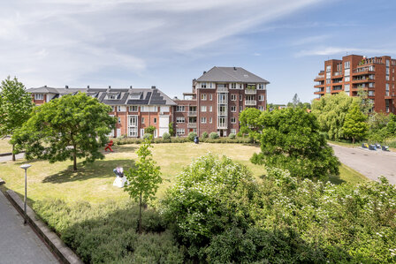 Molenweide Delft