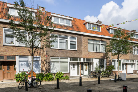 Paulus Potterstraat Schiedam
