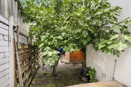 Paulus Potterstraat Schiedam