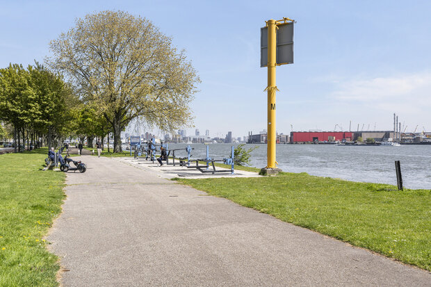 Zwartewaalsestraat 50 Schiedam