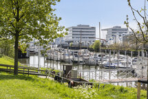 Havendijk Schiedam